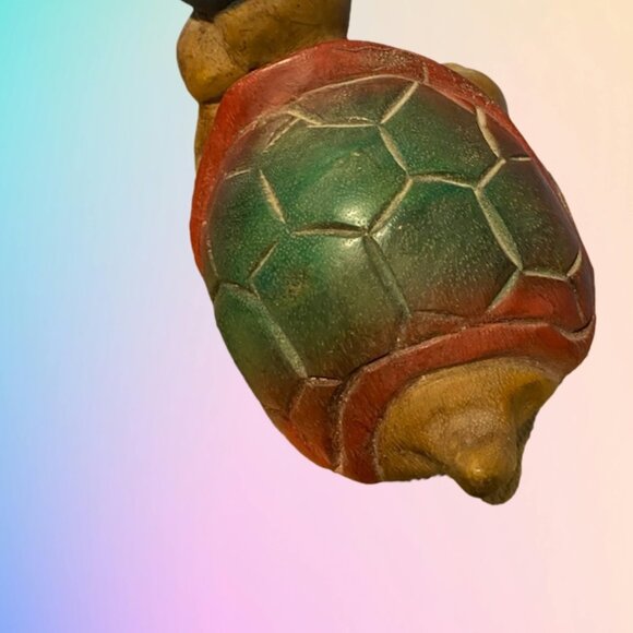 wood turtle - Picture 2 of 2